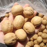 33 walnuts, Xinjiang thin skinned walnuts